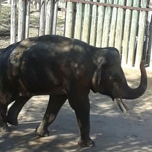 Meet your Posher, Layne